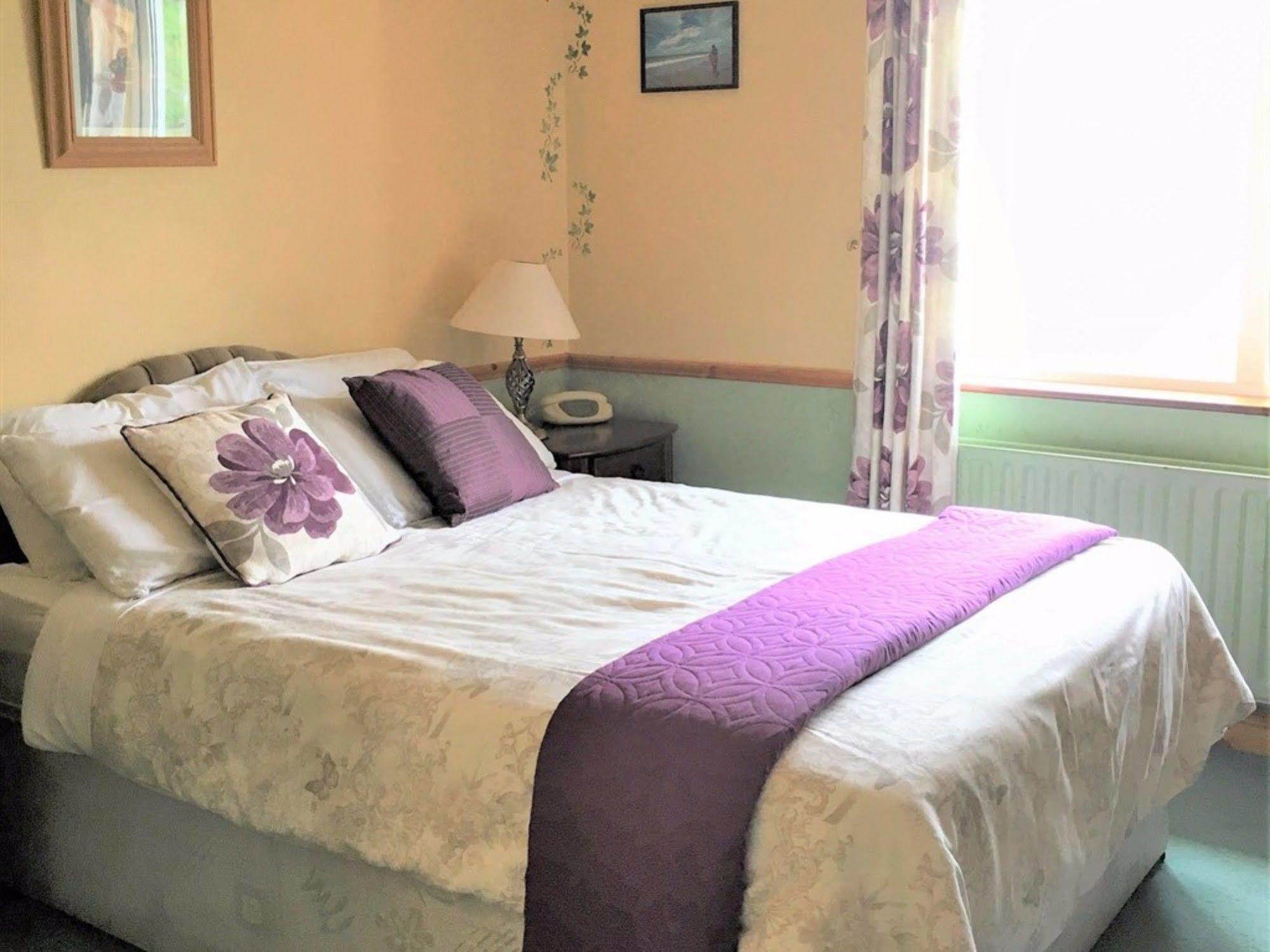 O'Connor'S Guest House Dingle Dış mekan fotoğraf