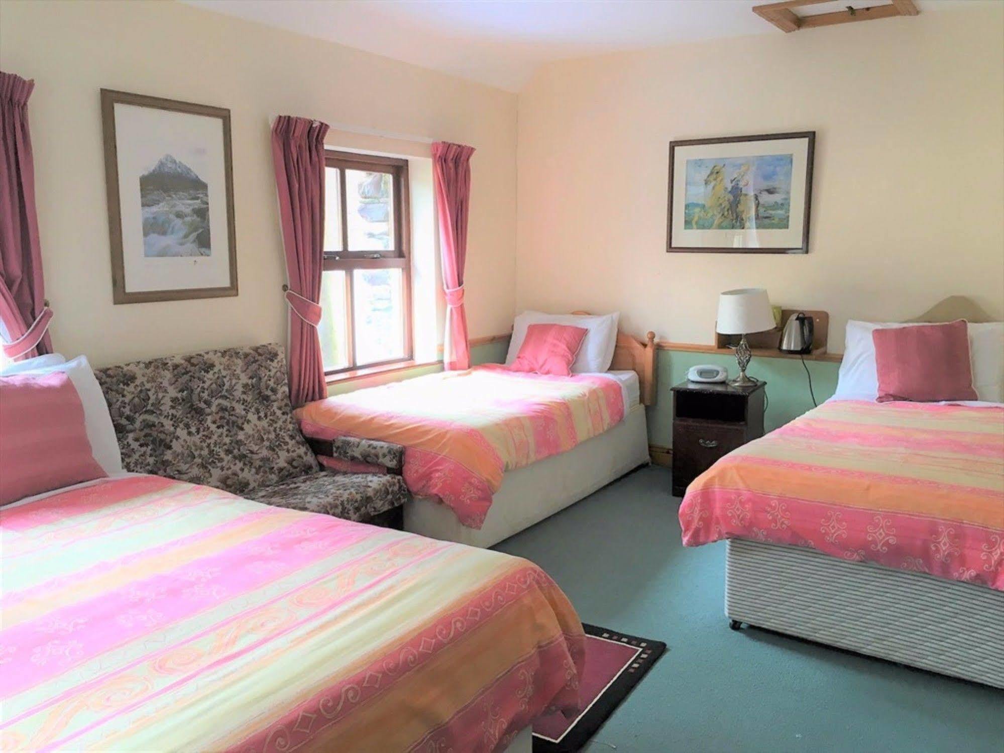 O'Connor'S Guest House Dingle Dış mekan fotoğraf