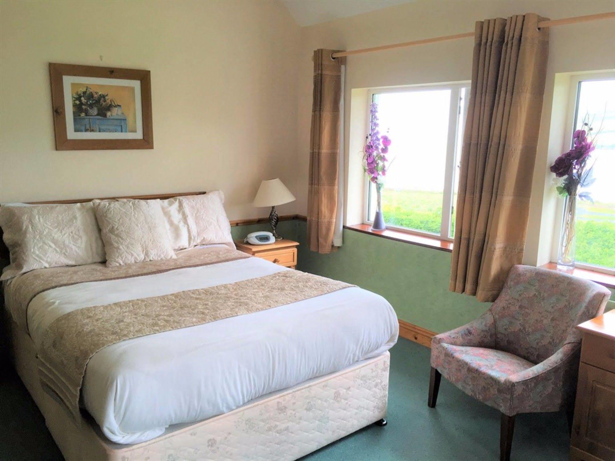 O'Connor'S Guest House Dingle Dış mekan fotoğraf